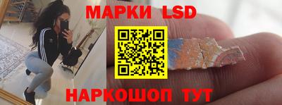 прущие грибы Обнинск