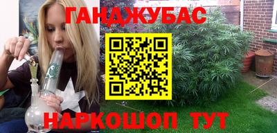 прущие грибы Обнинск